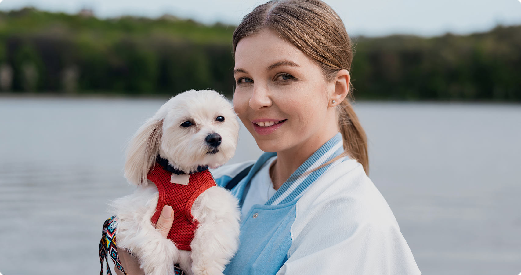 MY VET platform
